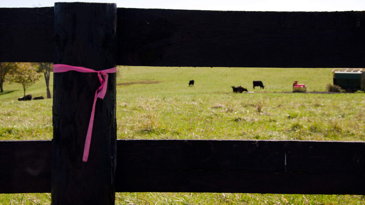 Hot pink ribbons were tied to fences, trees and wooden stakes to mark the route through one farm in Stamping Ground where two energy companies would install a pipeline to carry natural gas liquids generated by fracking in states such as Pennsylvania and Ohio.
