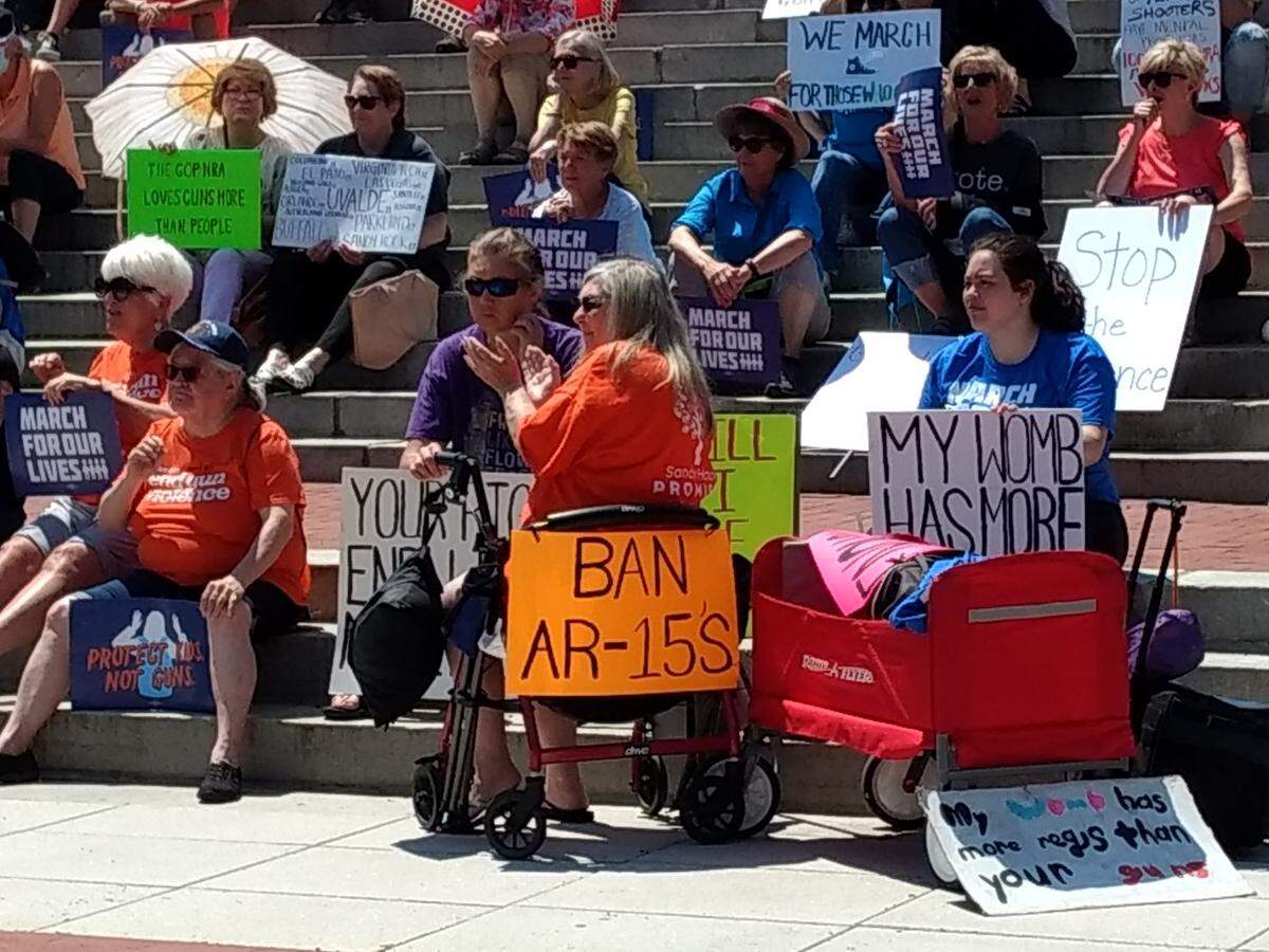 Demonstrators at the March for Our Lives rally in Frankfort Saturday brought signs advocating stricter gun laws.