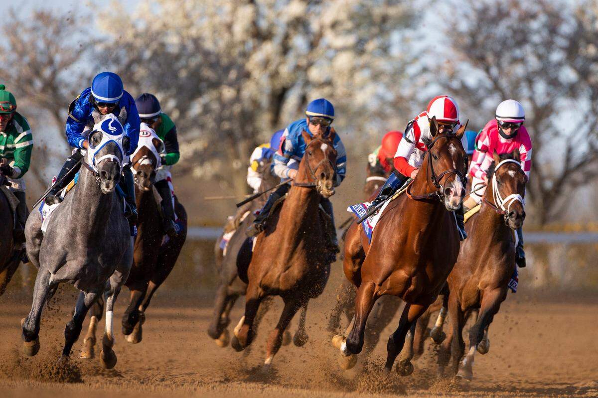 Essential Quality, with Luis Saez up, rounds the first turn during last year’s 97th running of the Toyota Blue Grass Stakes at Keeneland. The 98th running is set for Saturday.