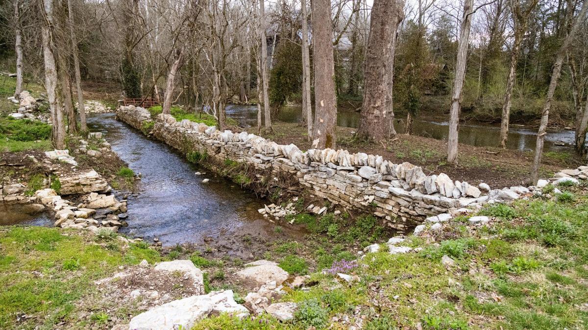 The proposed site of a new distillery at a historic mill in Woodford County, March 25, 2022.