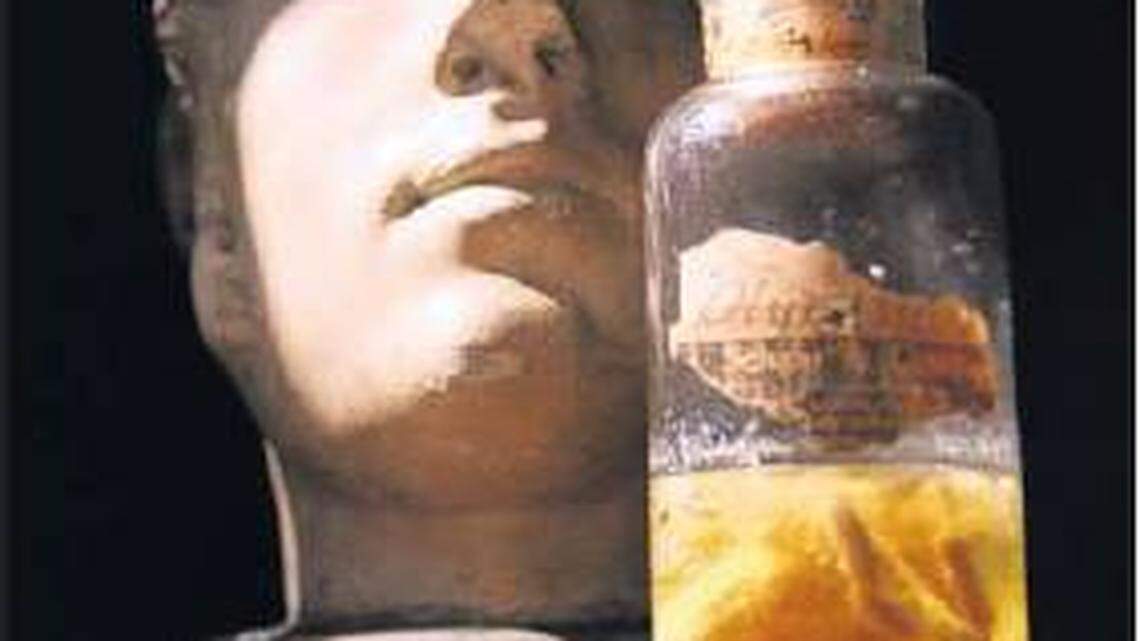 A sample from the 10-minute meat shower in Bath County is in the Moosnick Medical and Science Museum at Transylvania.