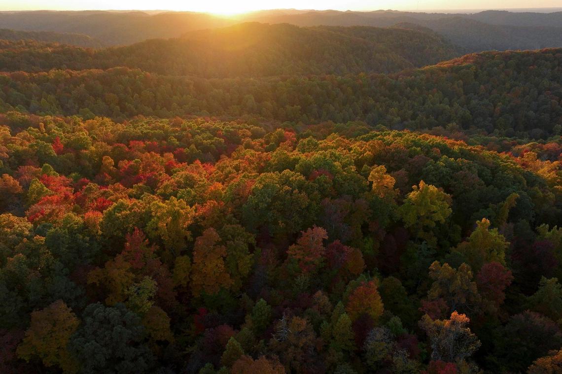 Authorities searched the Daniel Boone National Forest, photographed here in 2022, multiple days for the I-75 shooter.