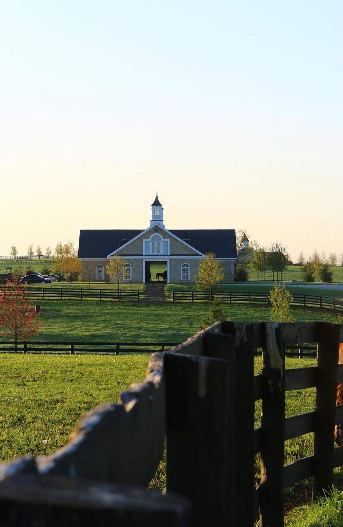 Adena Springs has several barns and is capable of holding up to 1,000 broodmares and foals as well as stallions.