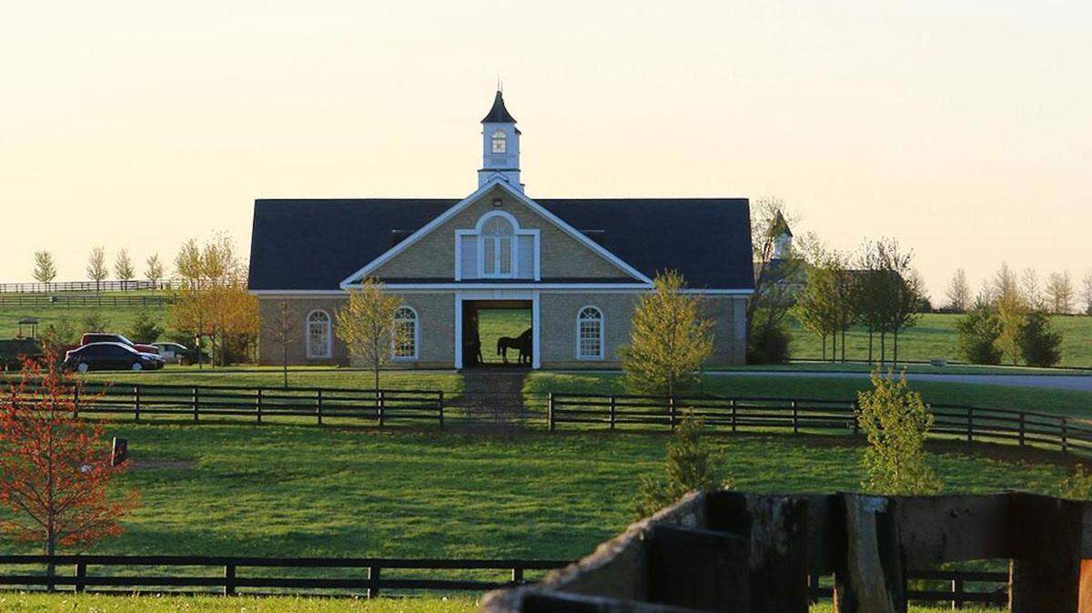Adena Springs has several barns and is capable of holding up to 1,000 broodmares and foals as well as stallions.