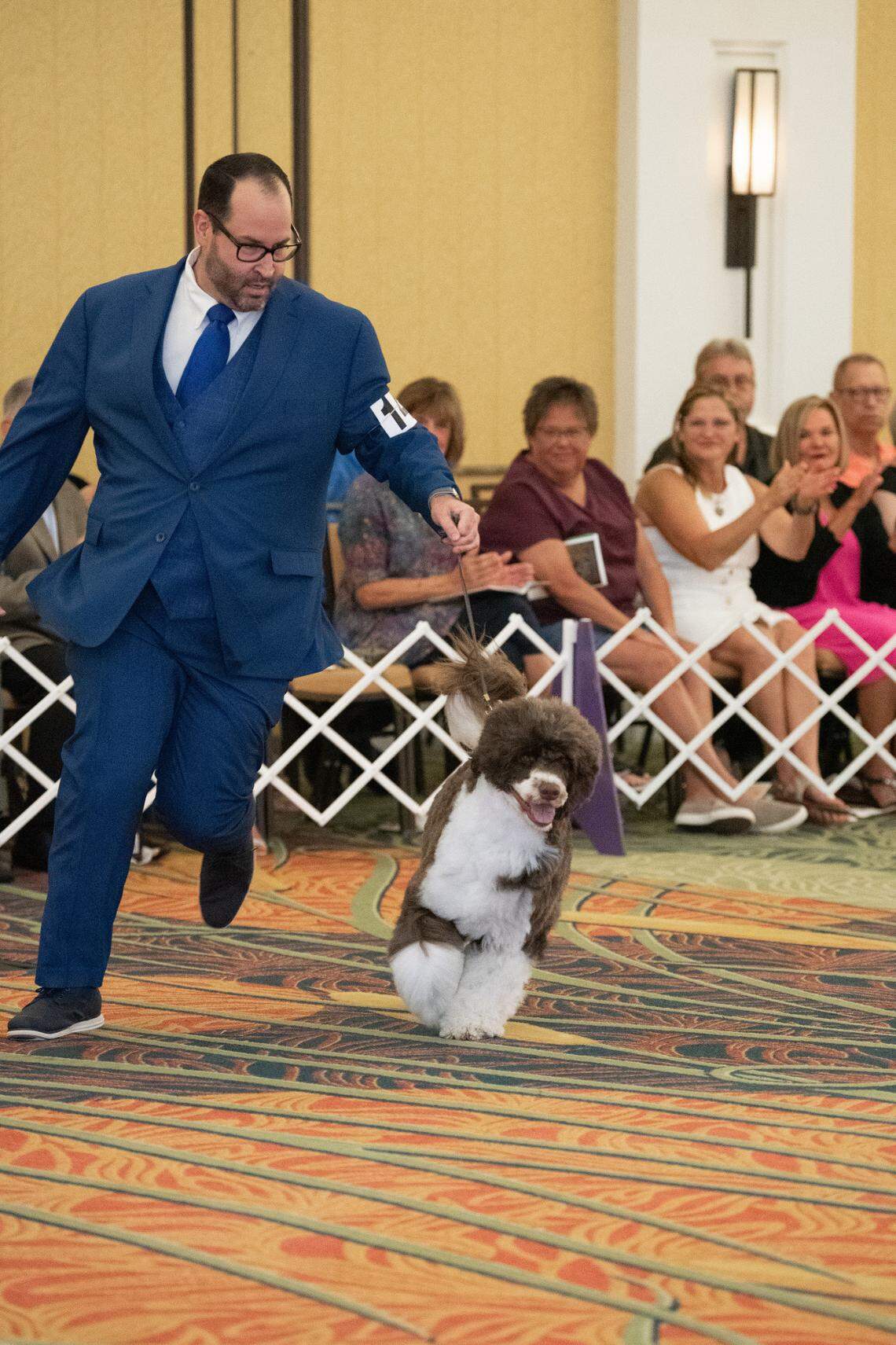 Zac Crump and his Portugese water dog Churchill will compete in the Westminster Kennel Club Dog Show.