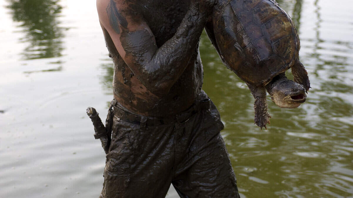Brown caught yet another snapper in a scene from Call of the Wildman on Animal Planet. In a sort of audition, Brown took the producer on a hunt, catching 11 turtles and a catfish.