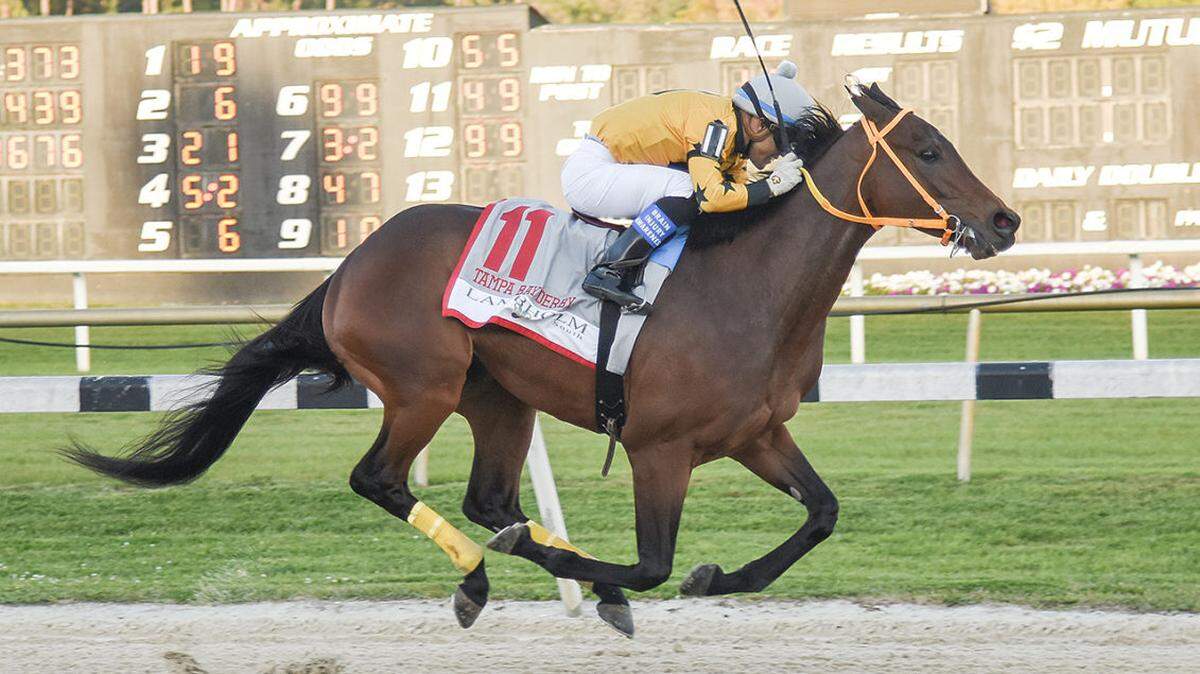 King Guillermo scratched from Kentucky Derby, leaving a field of 17 horses