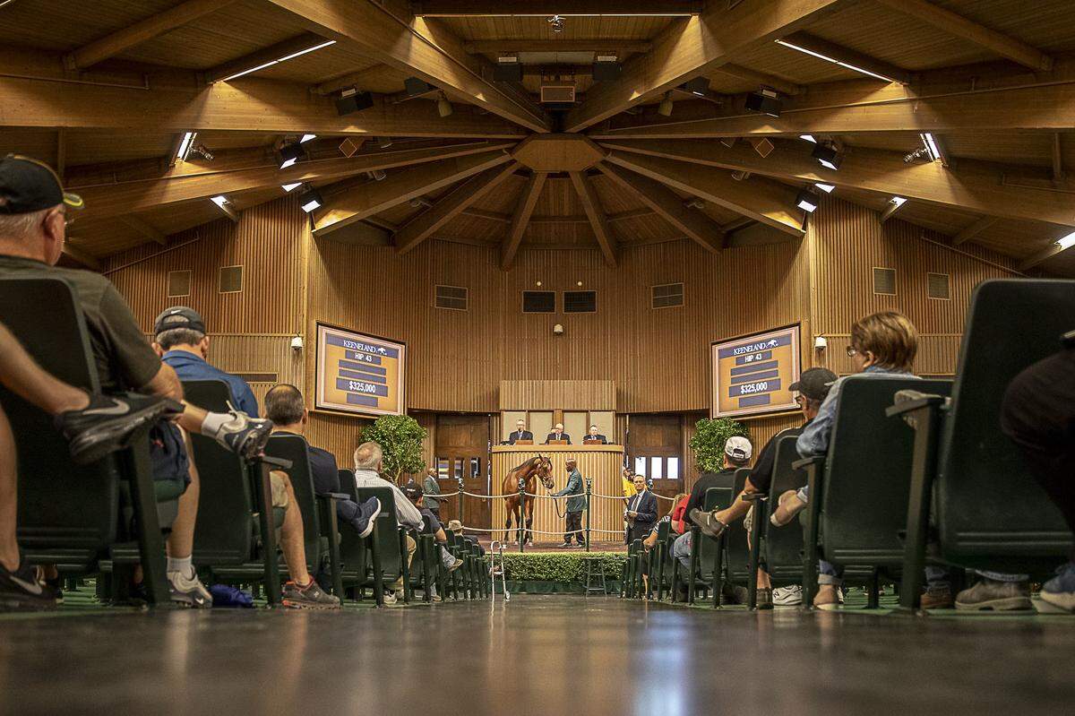 Keeneland’s sales are free to attend and open to the public. The 2022 Keeneland September Yearling Sale starts Monday and runs through Sept. 24.