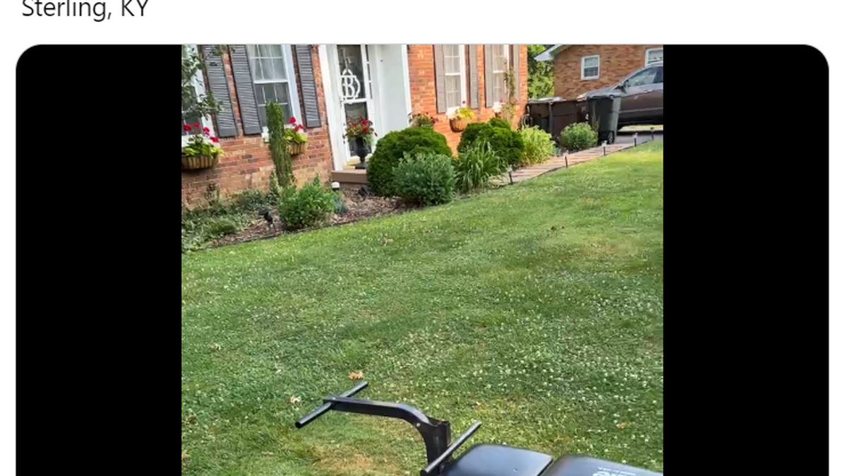 Will Haydon’s Facebook Live about items at his mom’s Mt. Sterling, KY, yard sale has accumulated more than 1.4 million views as of June 20, 2023.
