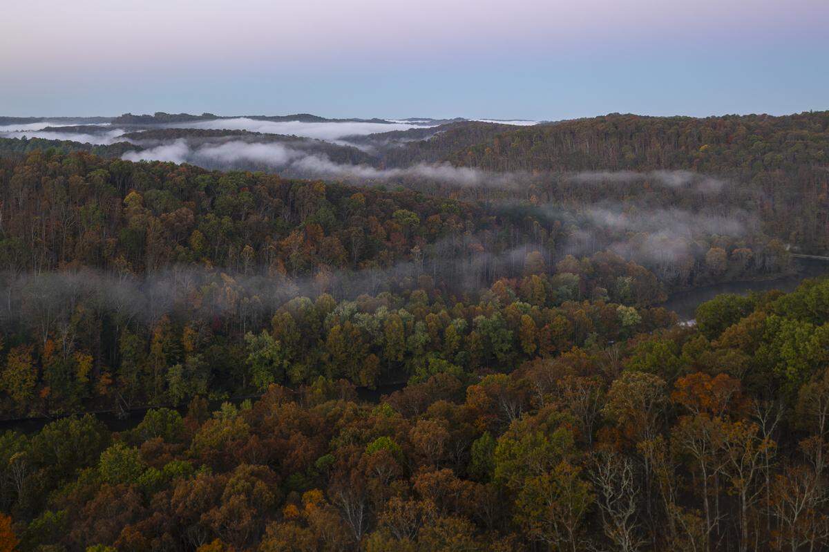 Early fall colors are photographed in the Daniel Boone National Forest in Rowan County.