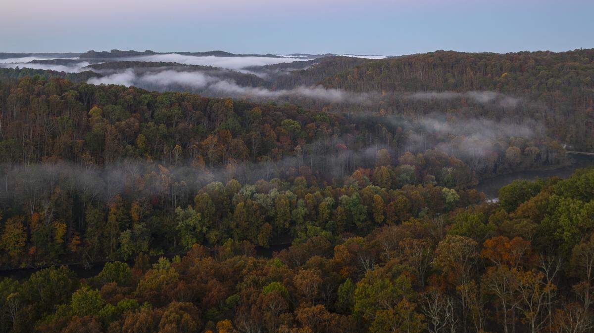 Early fall colors are photographed in the Daniel Boone National Forest in Rowan County.