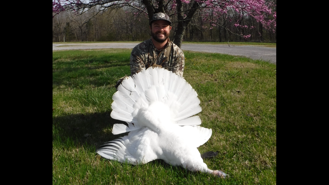 A man bagged an elusive white turkey recently at Land Between the Lakes in Kentucky.