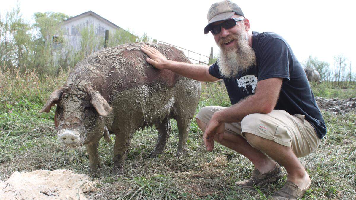 Travis Hood of Hood's Heritage Hogs in Robertson County is working to re-create an old breed of pig with the help of D'Lovely, an Andrus red wattle sow. Hood's focus is on ancient breeds of hogs that are fed largely on clover, hickory nuts and acorns.