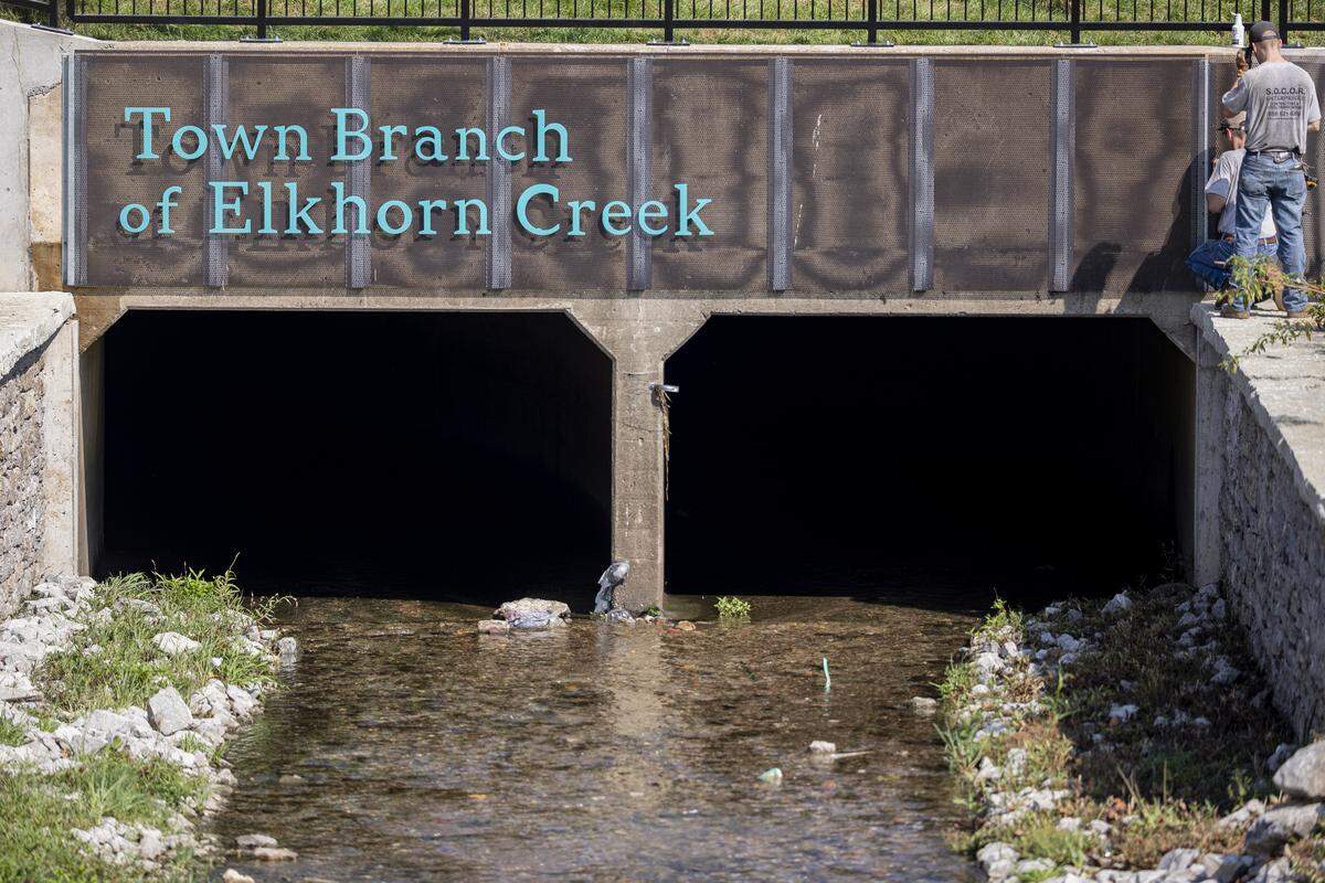 Elkhorn Creek flows through the park during a tour on Thursday, Aug. 14, 2025, at Gatton Park on the Town Branch in Lexington, Ky.