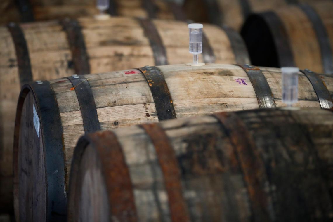 Barrels of stout, porter and Shannon the Dude’s Brew sit aging in the brewing facility at Rock House Brewing.