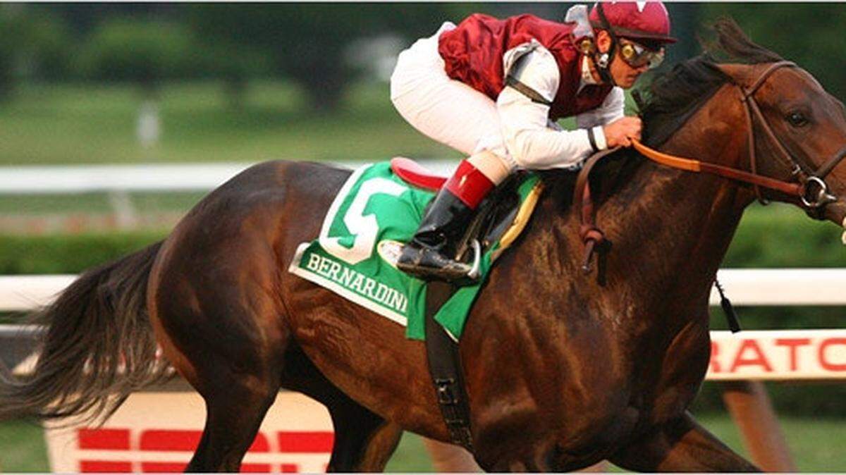 Bernardini won the 2006 Travers Stakes by seven-and-a-half lengths. He was euthanized at age 18 at Jonabell Farm, Darley America announced Friday.