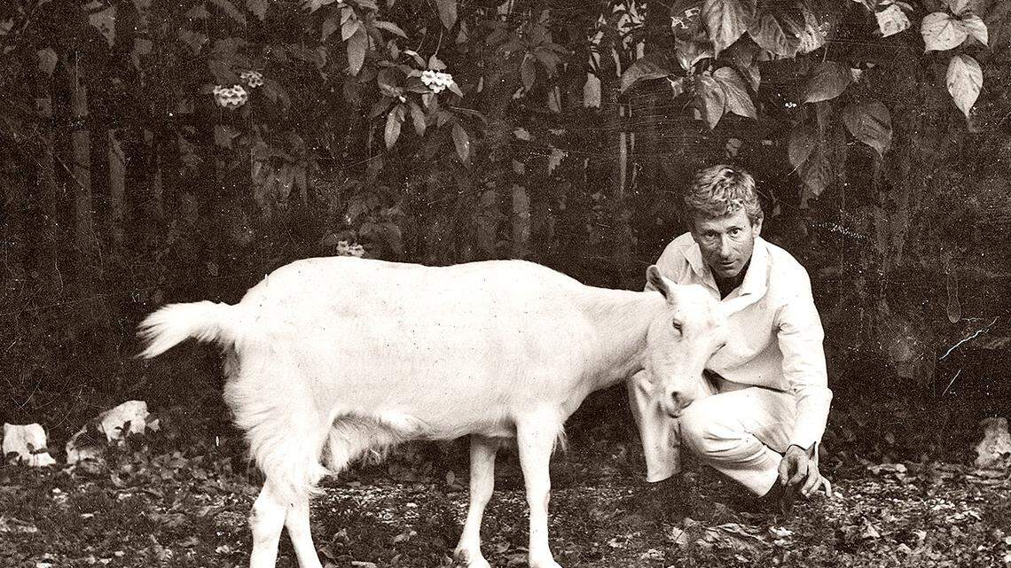 ‘Not your grandma’s Henry Faulkner.’ New film dives deep on renowned Lexington artist | Opinion