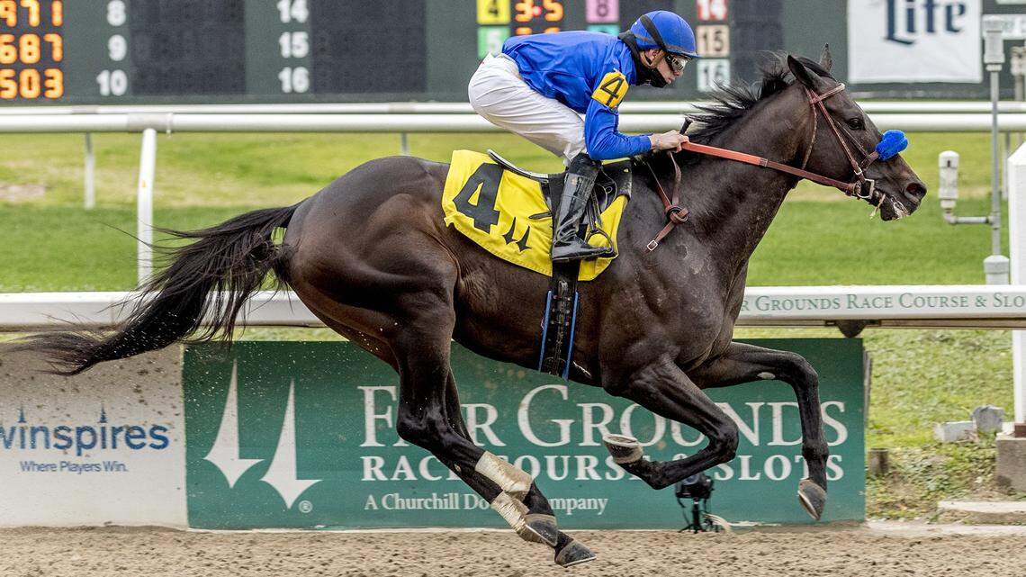 Jockey Florent Geroux pilots Maxfield to victory in the Mineshaft Stakes at Fair Grounds in February. Maxfield, winner of six of his seven career races, is the favorite in Saturday’s Stephen Foster Stakes at Churchill Downs.