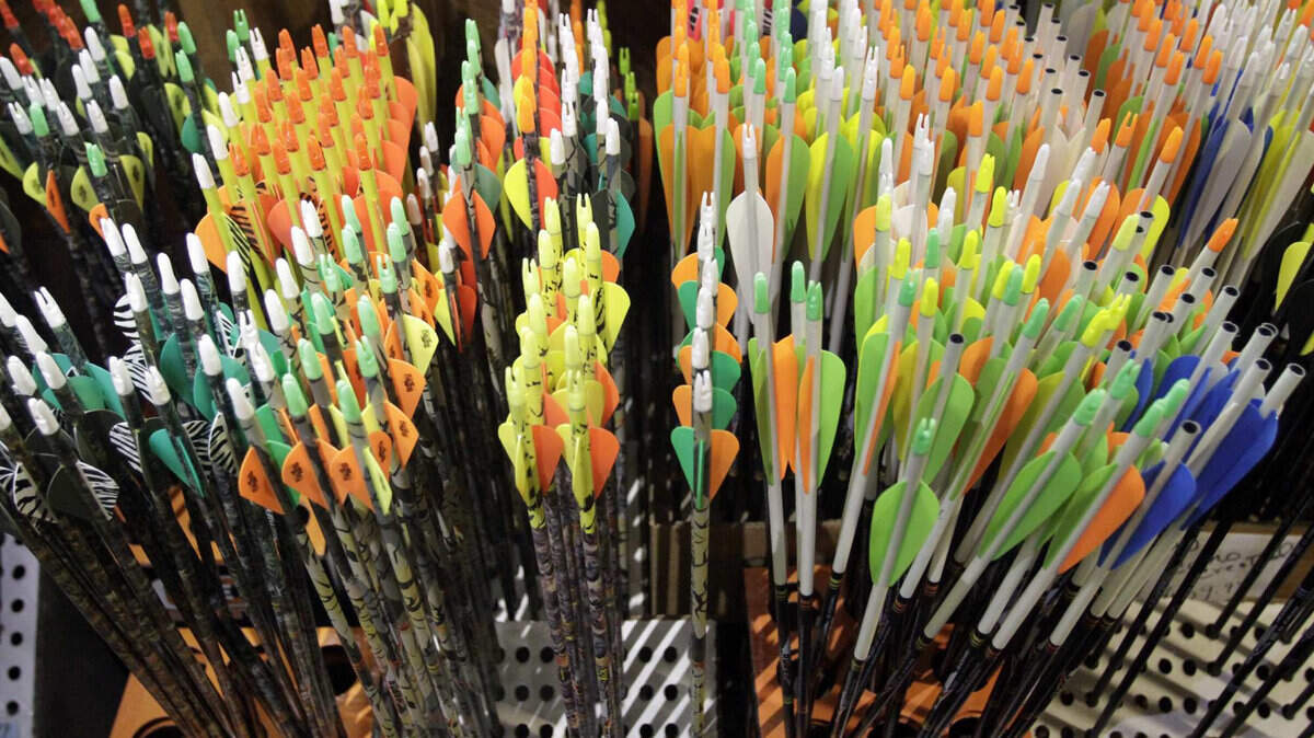 BIZ ARCHERY-BIZPLUS 3 LA