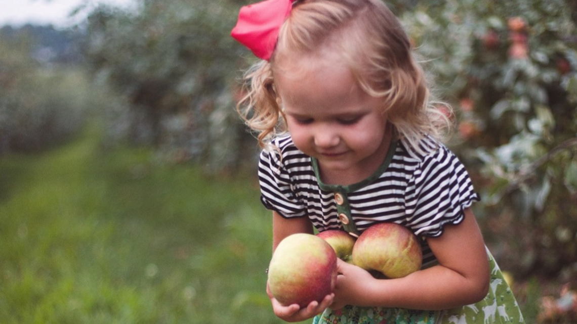 Apple picking near Lexington: Here are 3 great orchards to check out