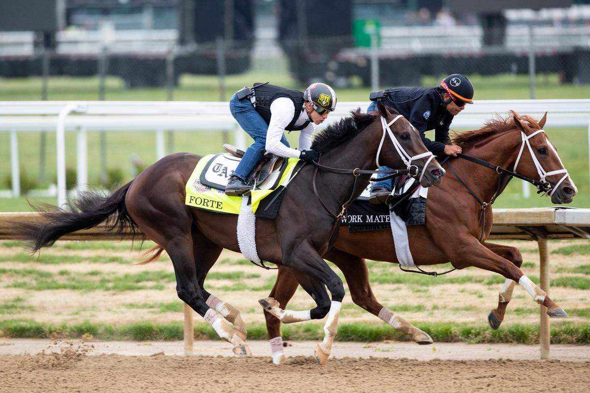Kentucky Derby favorite Forte, with exercise jockey Hector Ramos up, runs on the track during morning training last Saturday at Churchill Downs.