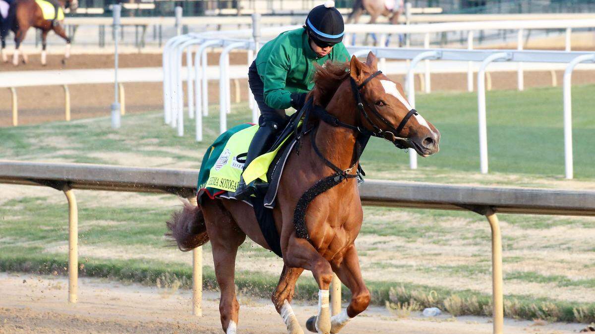 ‘It goes back to Sunday Silence.’ Is this the year a Japanese horse wins the Kentucky Derby?