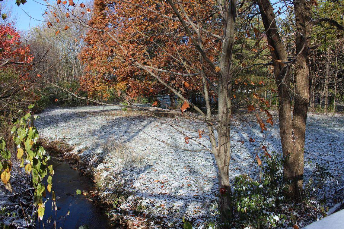 Including this year, the first measurable snow accumulation in Lexington has fallen in November in six of the last eight years, according to the NWS.