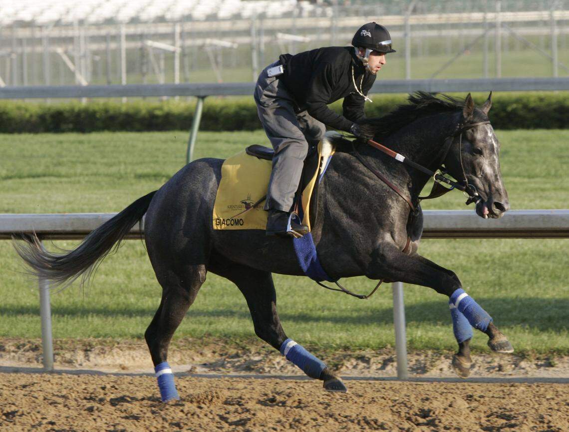 Giacomo galloped during morning training on the day before the 131st Kentucky Derby at Churchill Downs in 2005.