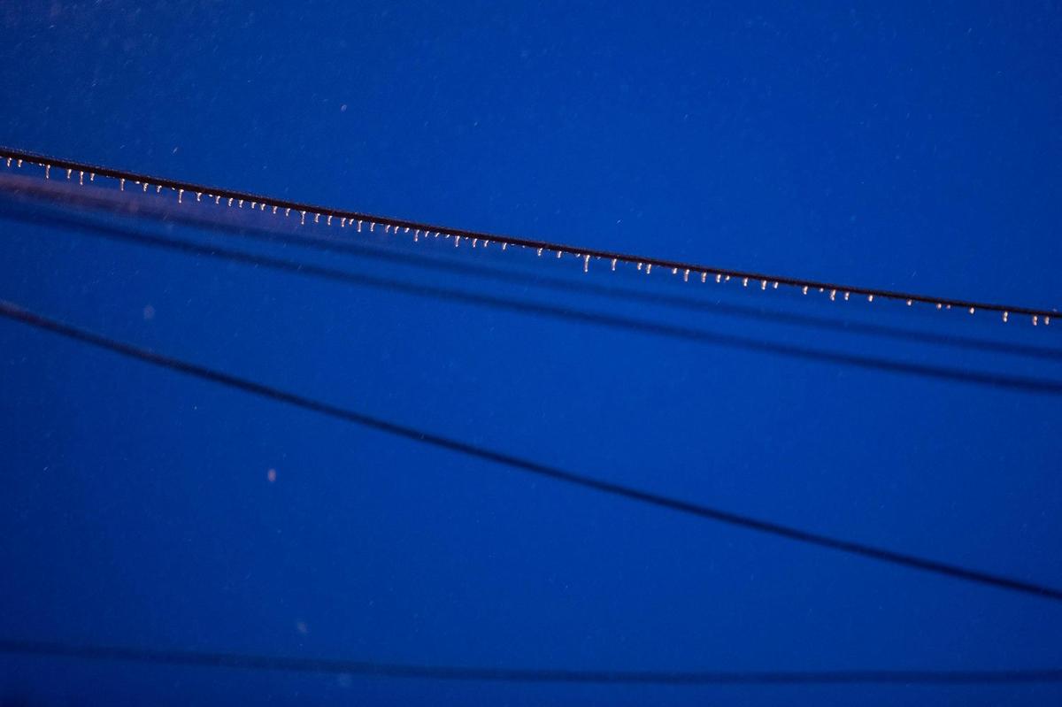 Ice forms along power lines on Spring Street in Lexington, Ky., on Friday, Feb. 4, 2022.