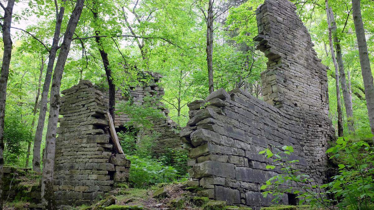 Jonathan Bush's four-level grist mill, built on Lower Howard's Creek in the early 1800s, has fallen to ruin, but it once produced flour for export.    