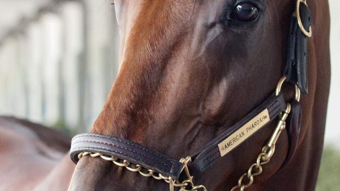 Triple Crown Pharoahs Homecoming