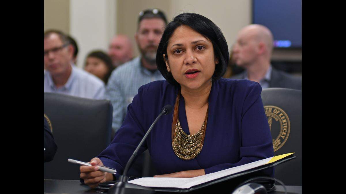 Rep. Nima Kulkarni, D-Louisville, presents House Bill 222, a 2022 bill relating to legal actions concerning the exercise of a person’s constitutional rights, in the Senate Judiciary Committee.