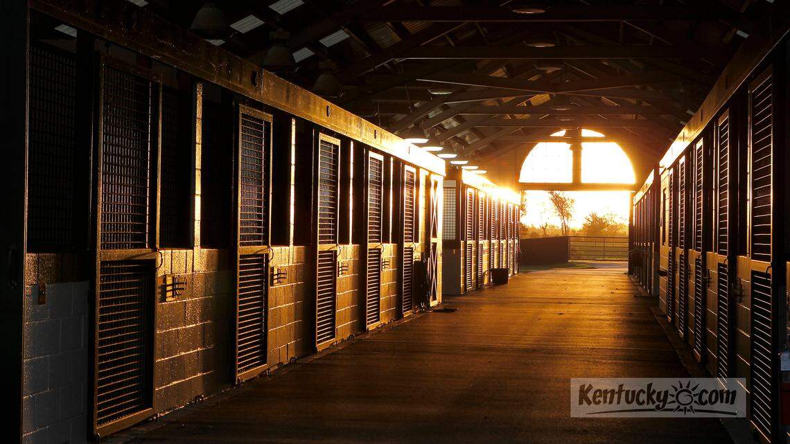 Inside one of the barns at sunrise on the Juddmonte Farm, on Walnut Hill Rd.,  in Lexington, Ky., Friday, October 19, 2012. Juddmonte Farm has had more than 65 starters in the Breeders' Cup championships, more than anybody else. Photo by Charles Bertram | Staff