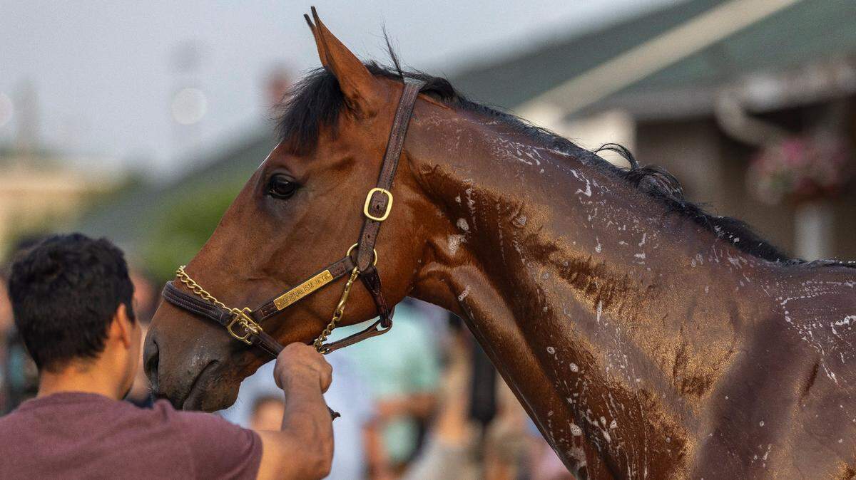 Journalism is the 2025 Kentucky Derby favorite. How often does the favorite win?
