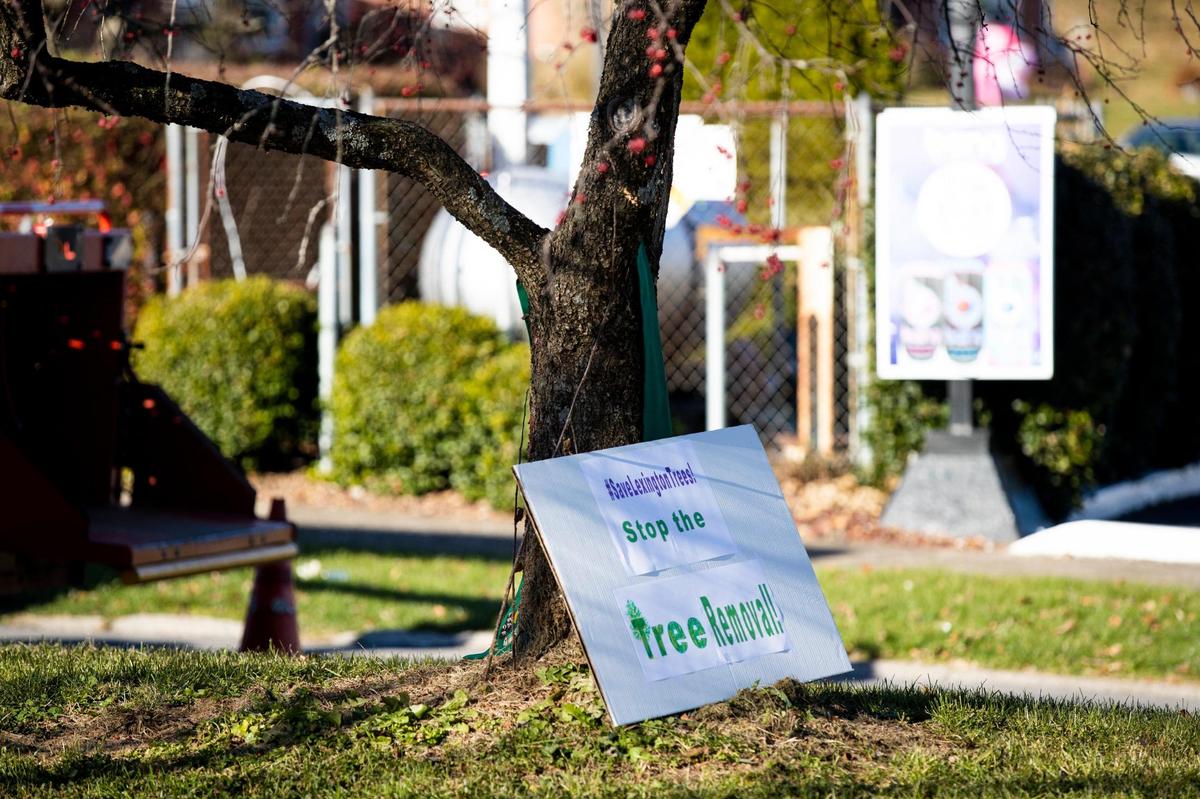 A sign reading “stop the tree removal” rested against a KU marked for destruction.