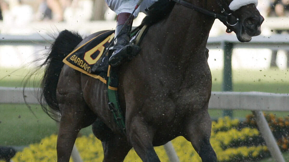 Jockey Edgar Prado pulled up Barbaro shortly after the Preakness started on May 20, 2006. 
