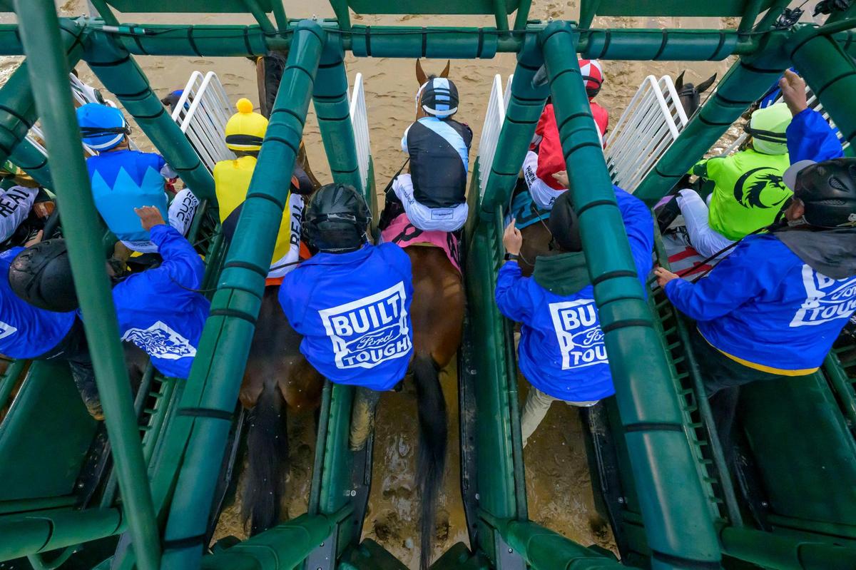 Churchill Downs uses a custom 20-horse starting gate for the Kentucky Derby.