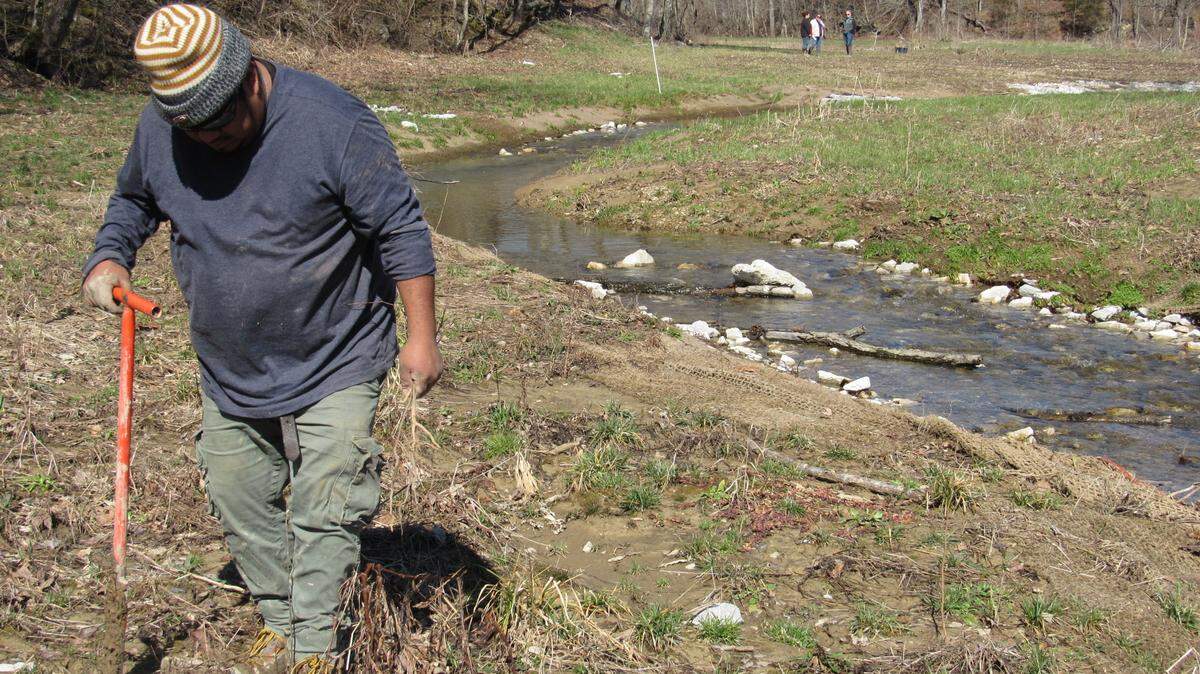 Jaston Morales, an employee of Corridor Land Services in Lexington, Kentucky, planted trees beside a stream in Pulaski County on Feb. 28, 2022 in a project to restore the stream to its original path and improve water quality and biodiversity. SB 89 would allow more pollution in non-navigable waterways.