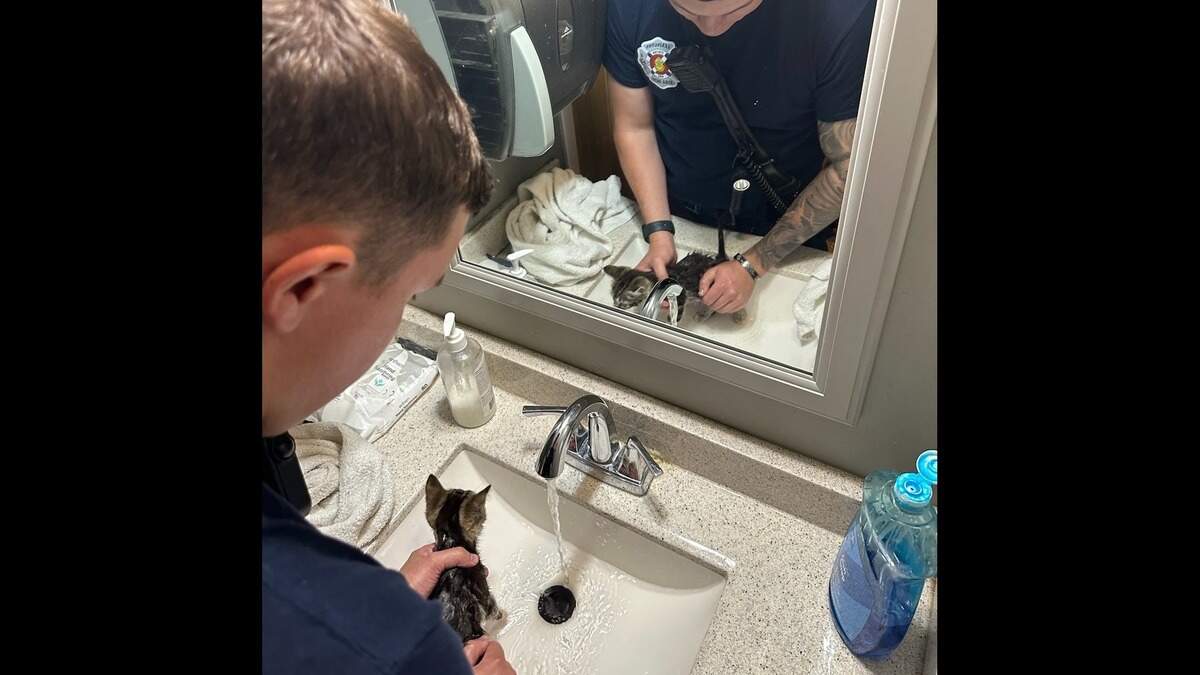 A Lexington firefighter gives Stormy the kitten a bath on July 16, 2024. Stormy was rescued from a storm drain at the intersection of Richmond Road and Mt. Tabor Road by the fire department.