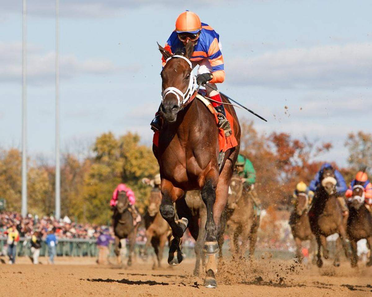 Uncle Mo won the 2010 Breeders’ Cup Juvenile at Churchill Downs as a 2-year-old but was scratched from the 2011 Kentucky Derby one day before the race. He went on to a legendary stallion career.