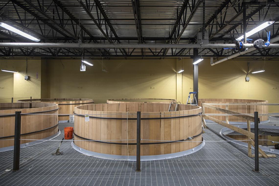 The facilities at Four Roses Distillery in Lawrenceburg, photographed Friday, April 12, 2019.