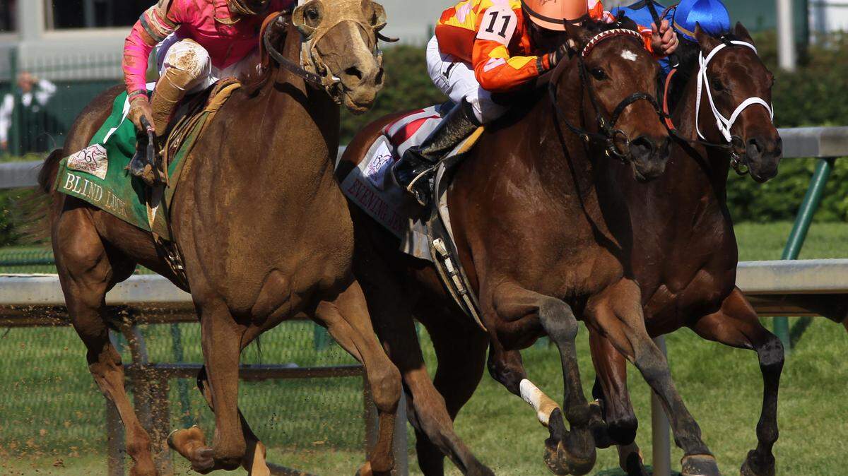 Blind Luck, left, with Rafael Bejarano up, charged down the stretch to beat Kent Desormeaux and Evening Jewel (11) by a nose in the Kentucky Oaks this year. Tidal Pool, right, and Calvin Borel finished third.