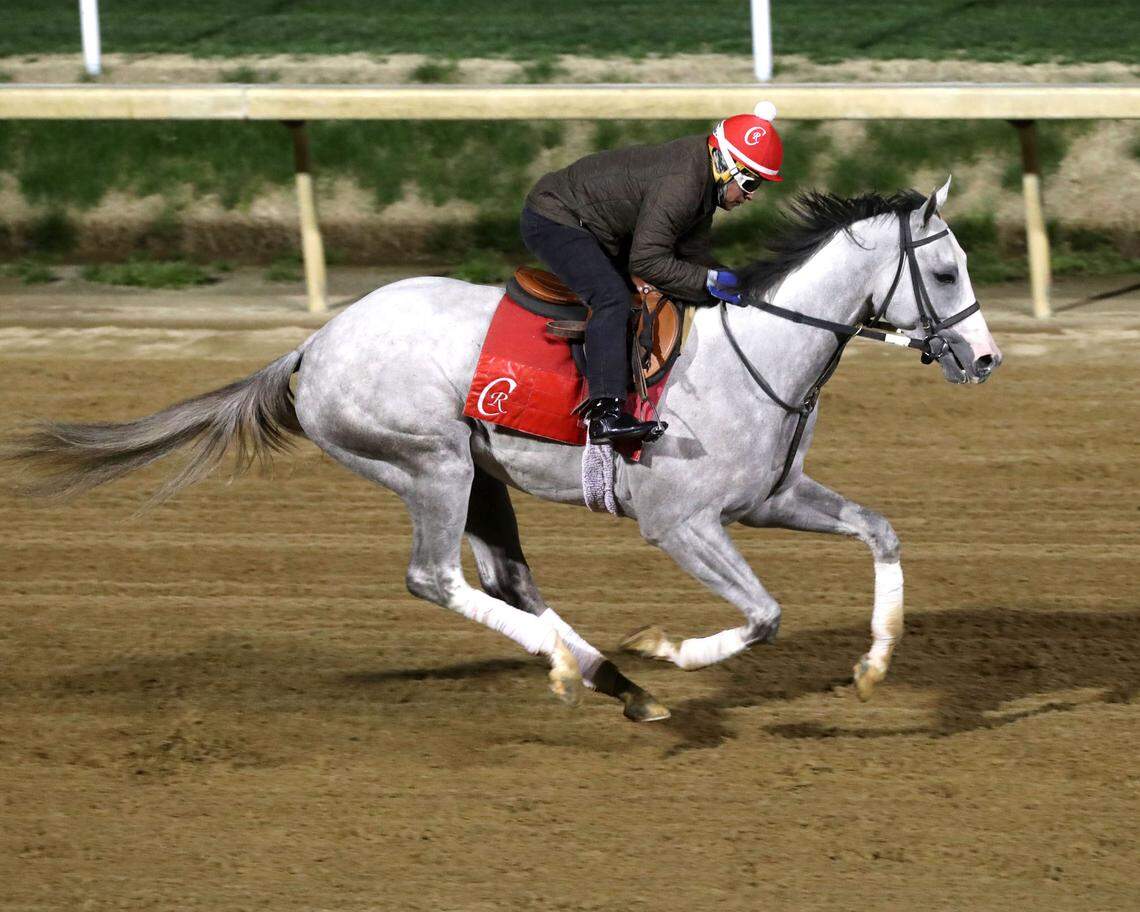 Sandman is the most expensive horse in the 2025 Kentucky Derby field. He was purchased for $1.2 million as a 2-year-old.