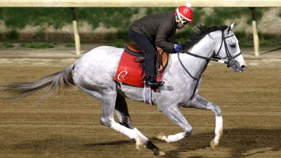 How much each horse in the 2025 Kentucky Derby cost its owners to buy