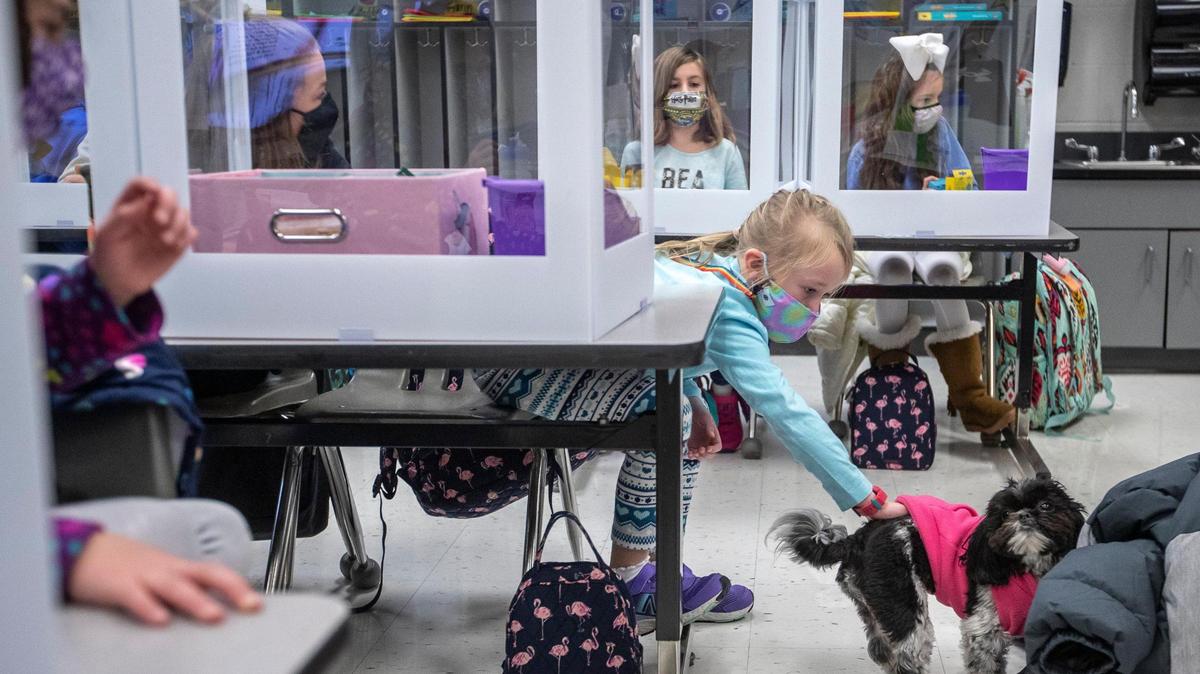 Campbell Scott, a second-grade student at Veterans Park Elementary School in Lexington, pet Wags, the school’s therapy dog, earlier this year after students returned to classes.