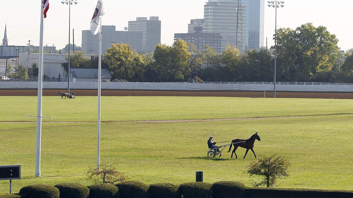 A driver walked his horse across the infield at  The Red Mile on October, 4, 2011.