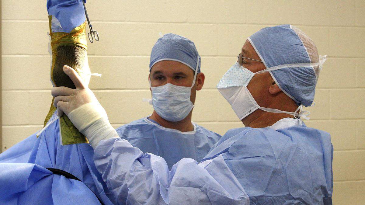 Dr. Larry Bramlage, right, assisted by Dr. Eric Carlson, inserted a screw in the knee of a Thoroughbred yearling during corrective surgery at Rood & Riddle Equine Hospital.