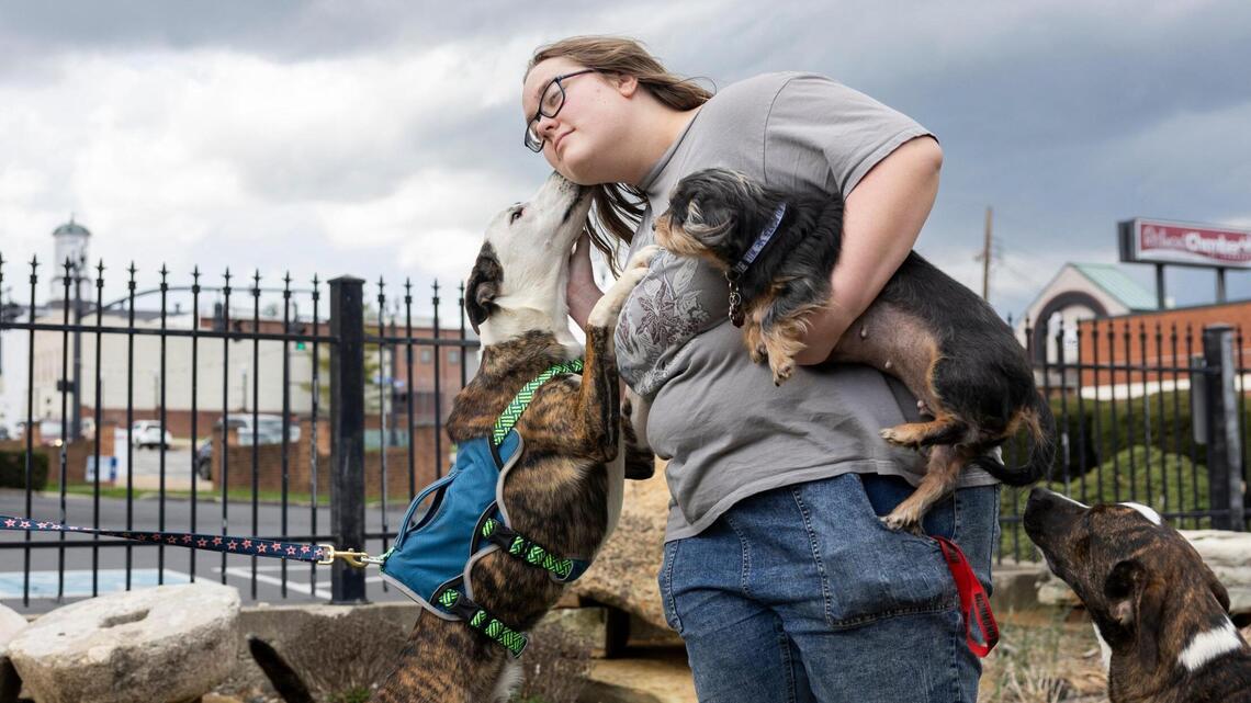 When owners need addiction treatment, Kentucky group makes sure their animals stay safe
