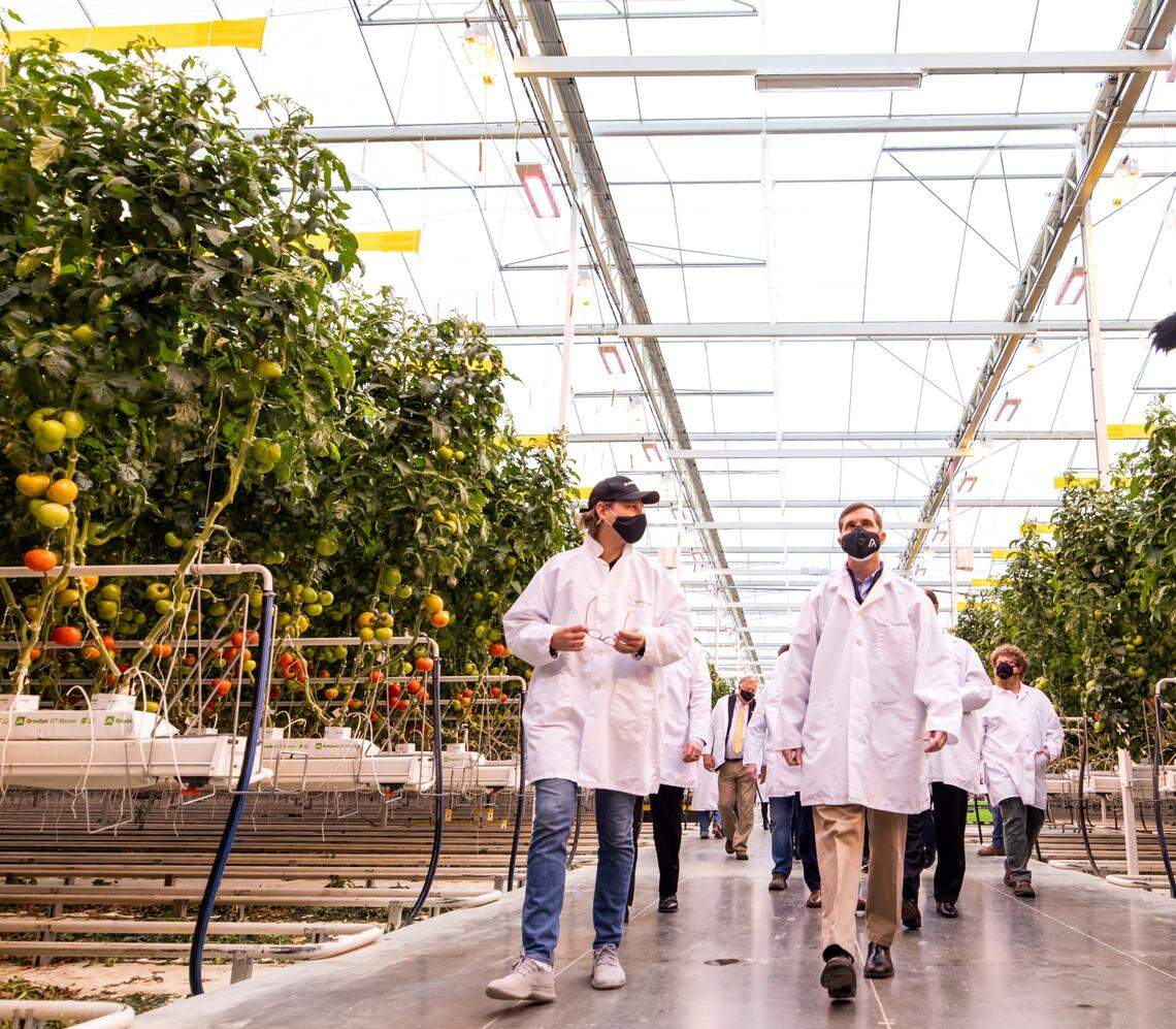 AppHarvest CEO and founder Jonathan Webb gives a tour of the mega-greenhouse in Morehead to Gov. Andy Beshear on Tuesday.