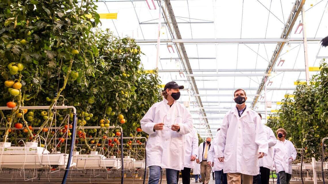 AppHarvest stock dives after Kentucky greenhouse company posts $32 million loss